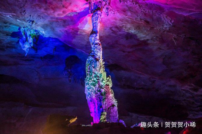 云南农业大学马院好就业吗?,发现共同爱好的红迪网平台
