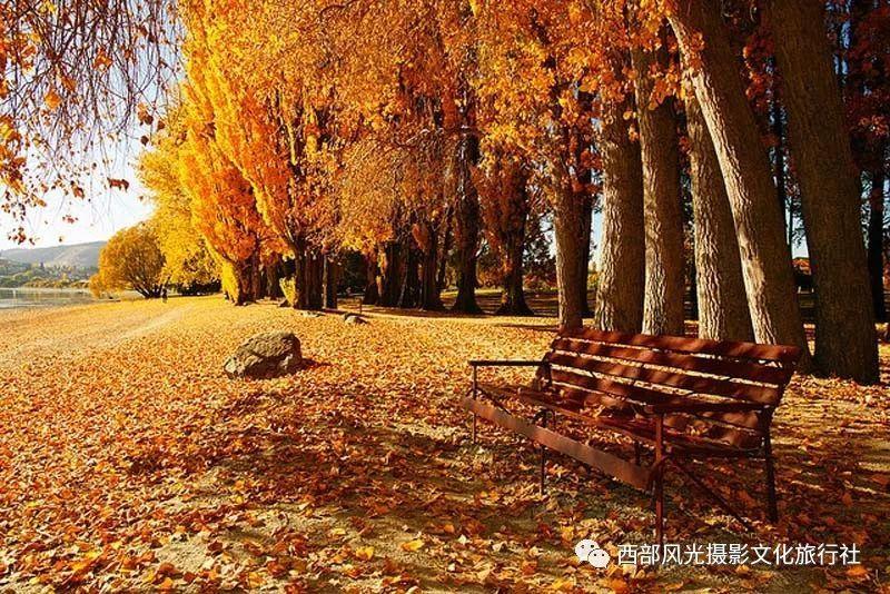 我希望——游戏画面