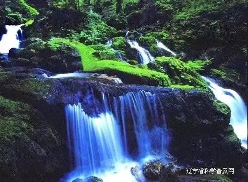 星露谷物语